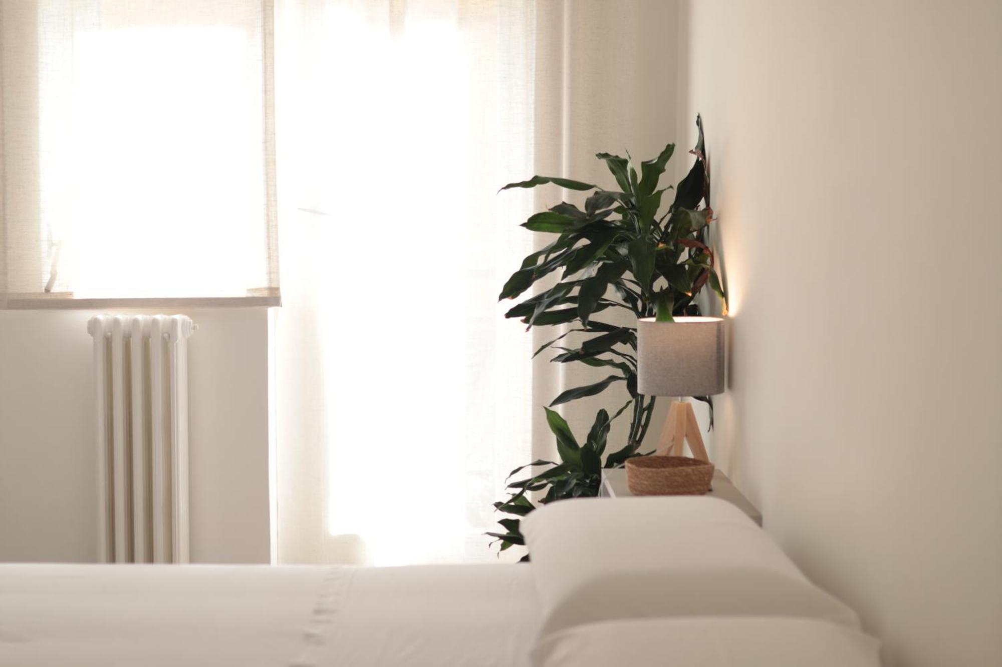 Luna Nuova Comfort & Affittacamere *